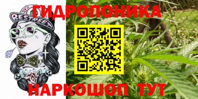 спиды Абакан