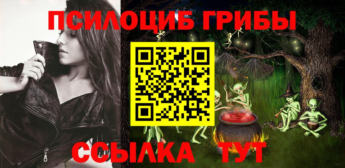 Псилоцибиновые грибы Psilocybe Апатиты