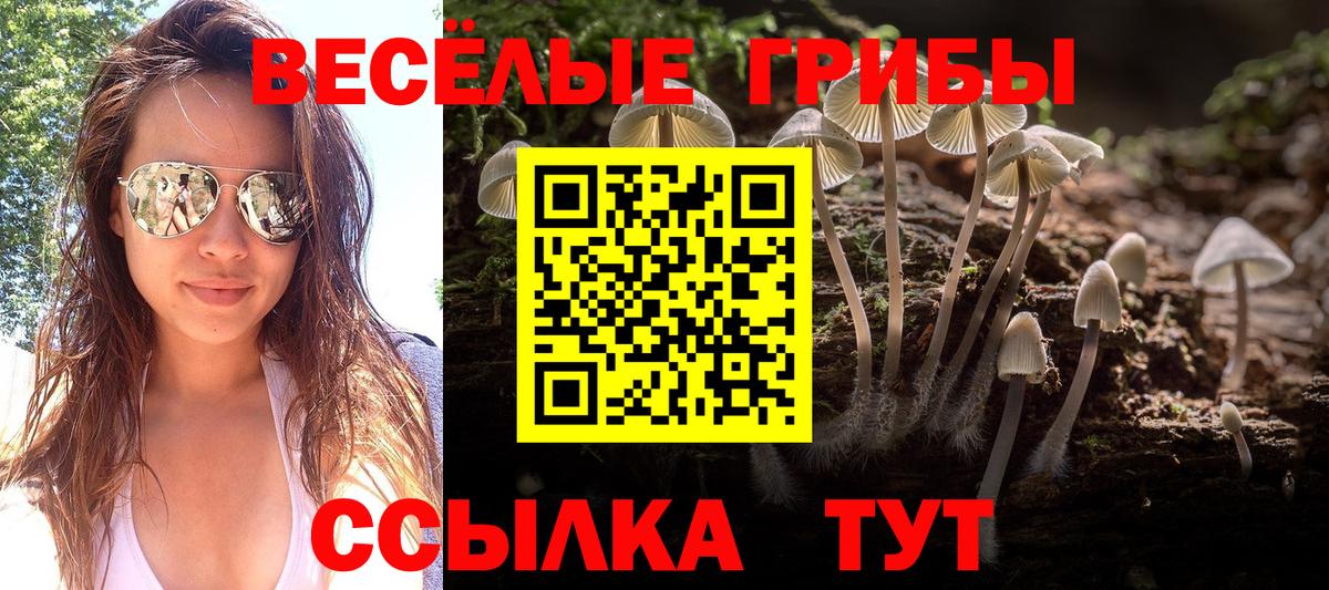 Апатиты  сколько стоит  Вход с VPN  Галлюциногенные грибы Psilocybine cubensis 